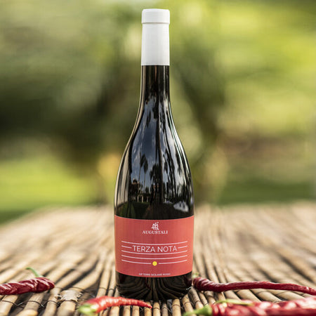 Vino Terza Nota rosso 75cl Bio Fattoria Augustali