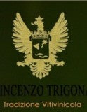 Vincenzo Trigona