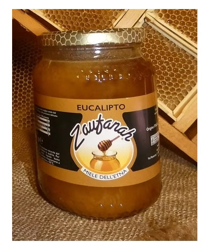 Miele di Eucalipto 500gr Zaufanah