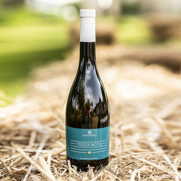 Vino Terza Nota bianco 75cl Bio Fattoria Augustali